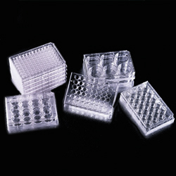 CELL CULTURE PLATES