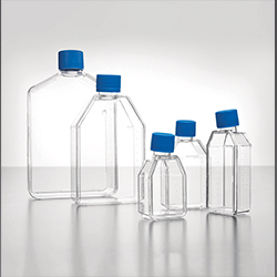 CELL CULTURE FLASKS