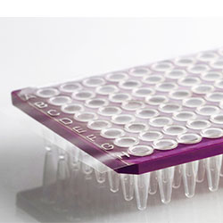PCR SEALS AND CLOSURES