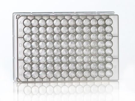 PCR0242 Display Image