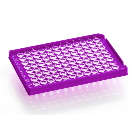 PCR0958 Display Image