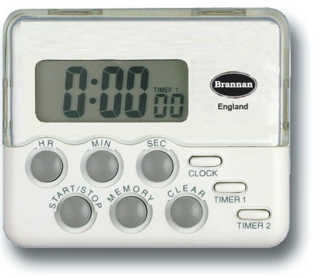 Timer with Dual Clock
