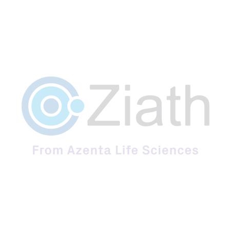 ZTS-HND-CLIENT Display Image