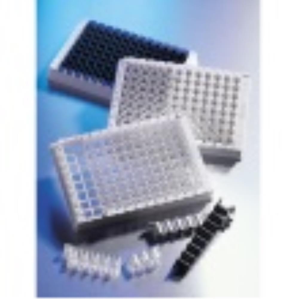 CLS2483-100EA Image