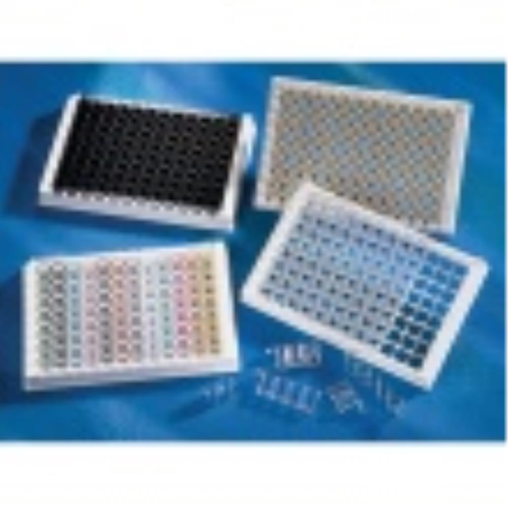 CLS3923-100EA Image