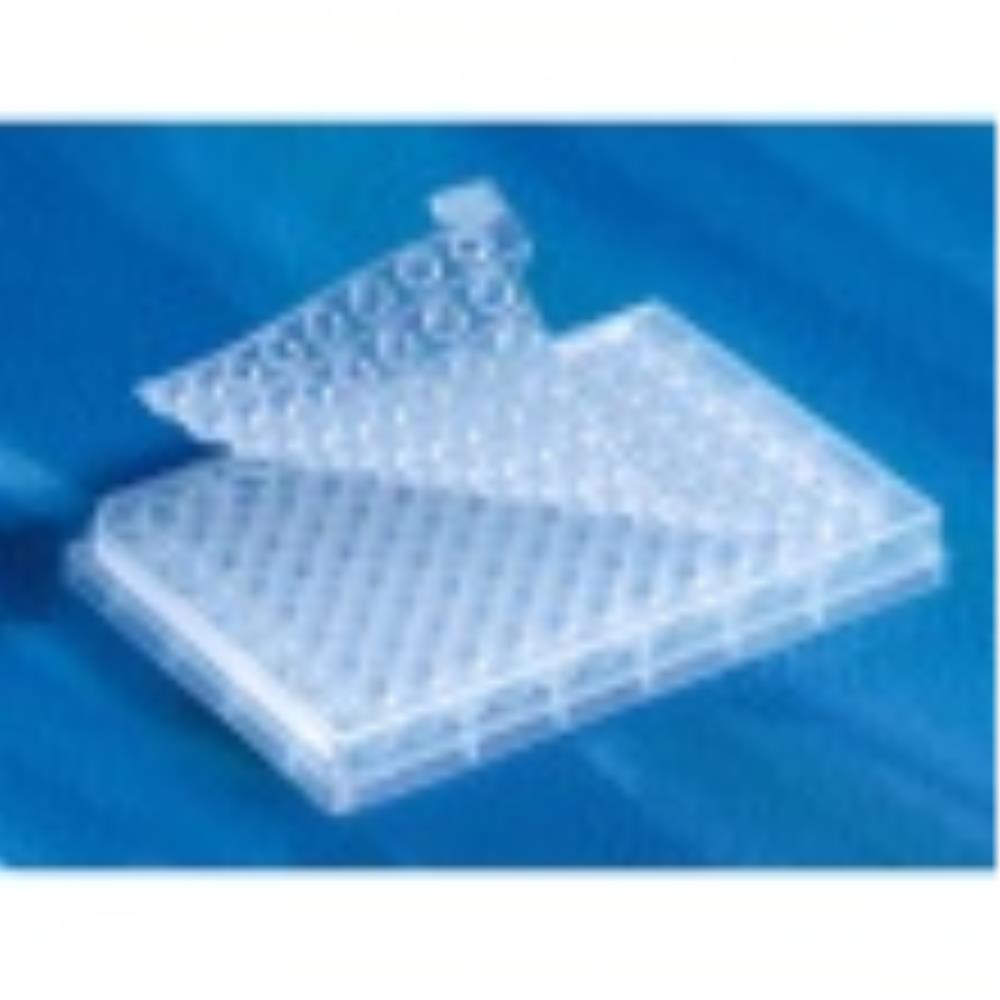 CLS3083-50EA Image
