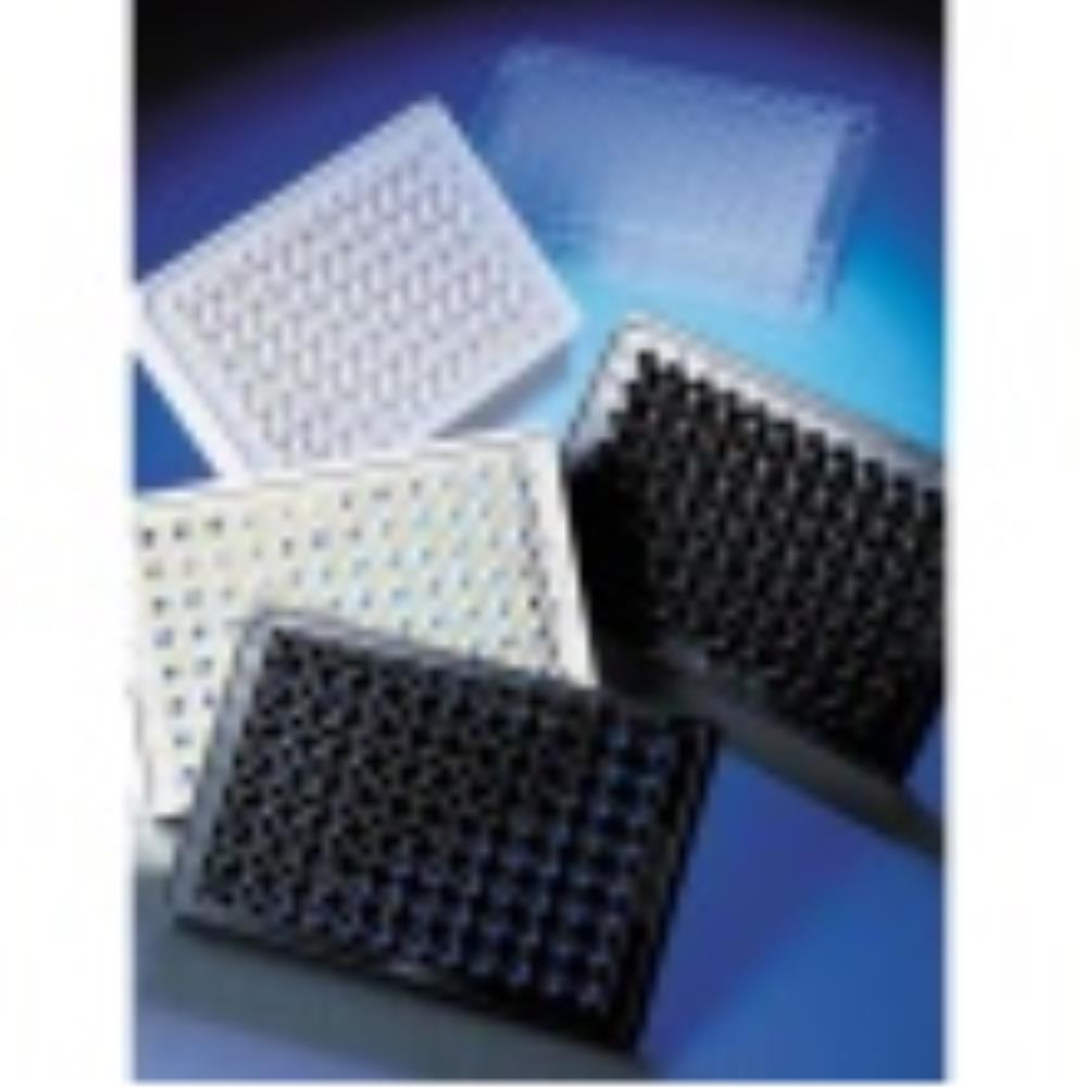 CLS3884-100EA Image