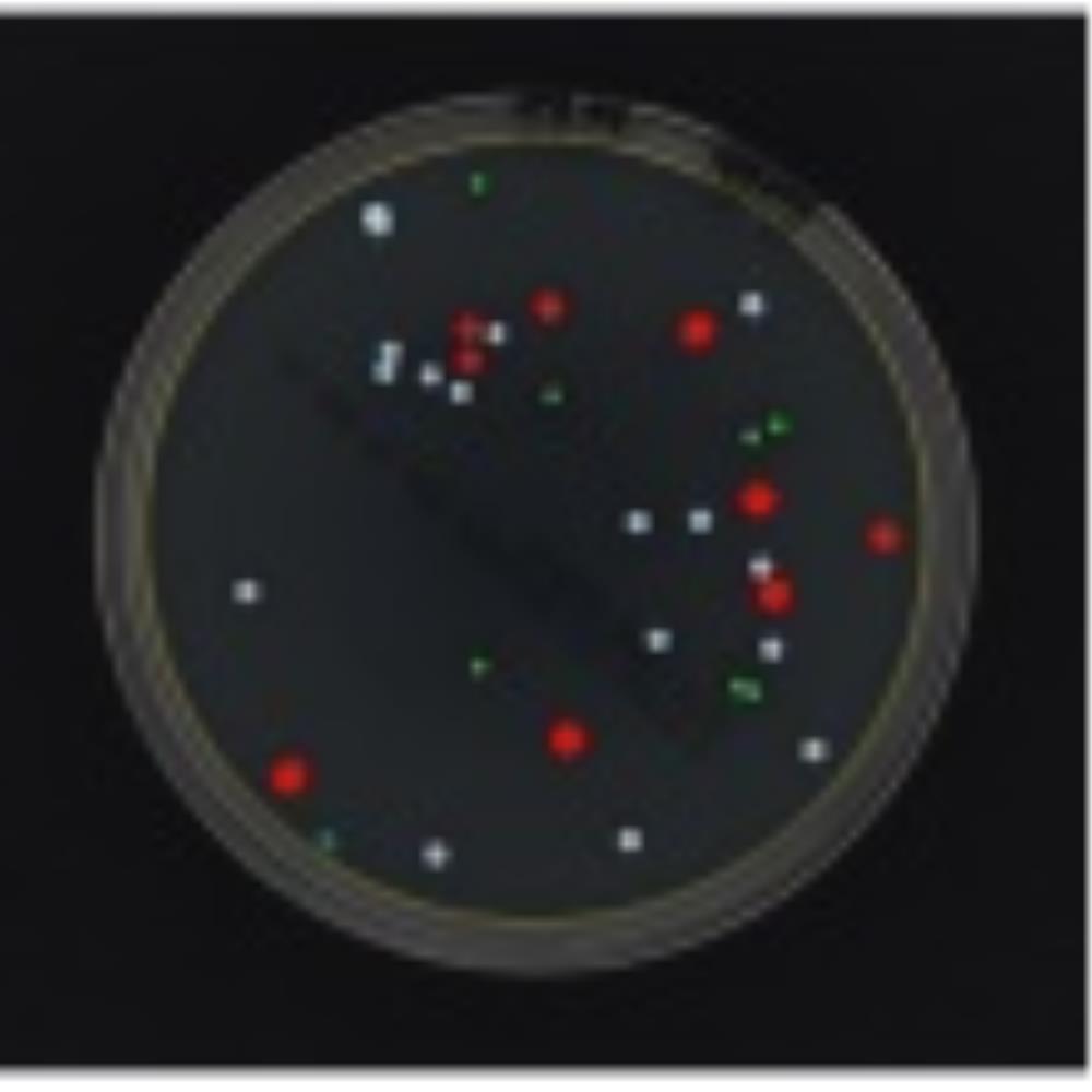 COU5012 Image