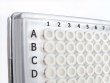 PCR0396 Thumbnail Image