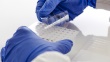 PCR0518 Thumbnail Image
