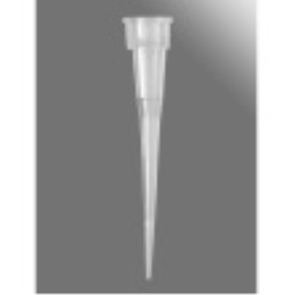 AXYT300RS Image