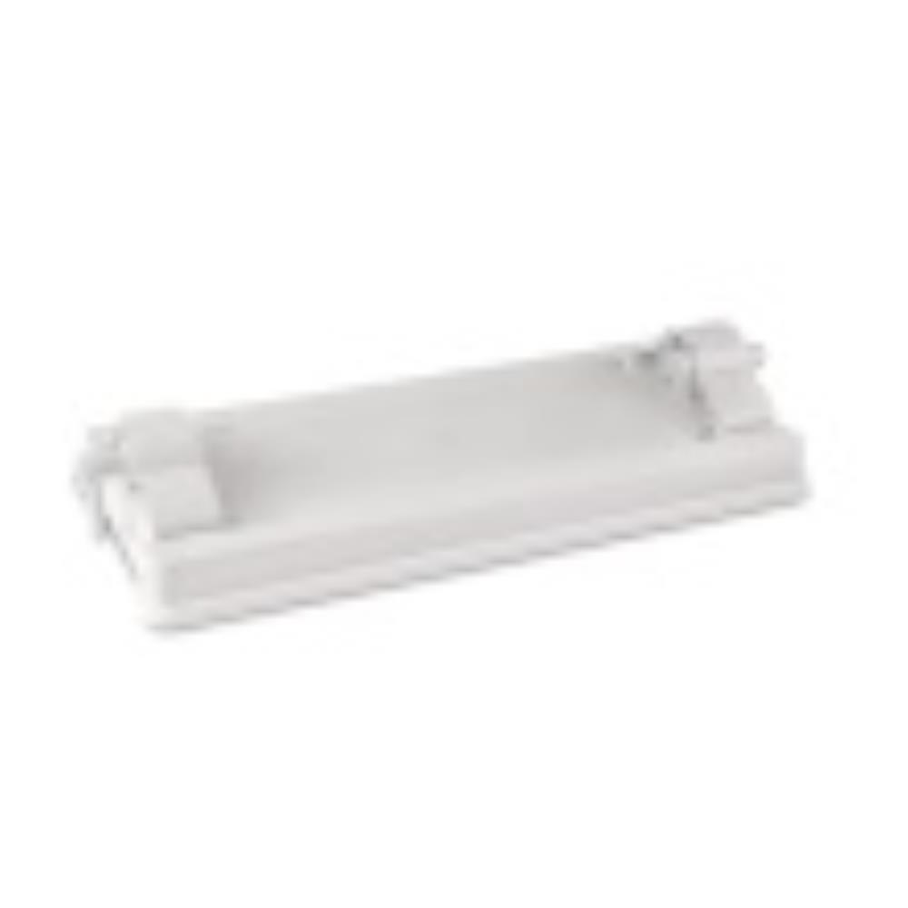 CSLGM100 Image